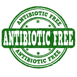 Antibiotic Free